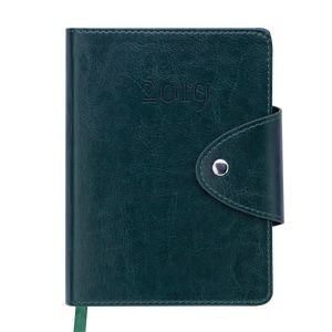 Diary dated 2019 BUSINESS, A6, green
