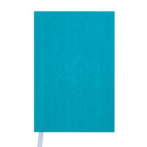 Diary dated 2019 ACTUAL, A6, 336 pages, turquoise