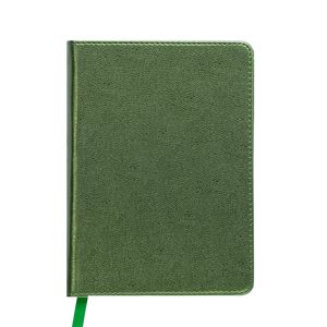 Tagebuch undatiert METALLIC, A6, grün