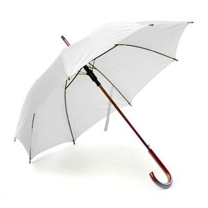 Laska parasolowa