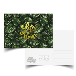 Postcard "Tropics. Life is now" (39025)