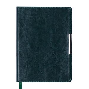 Diary dated 2019 SALERNO, A6, 336 pages green