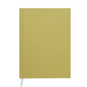 Undated diary BRILLIANT, A5, 288 pages, olive