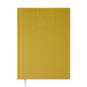 Diary dated 2019 BRILLIANT, A5, 336 pages, olive