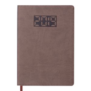 Diary dated 2019 PROFY, A5, 336 pages, brown