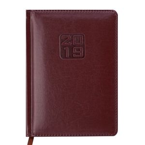 Diary dated 2019 BRAVO (Soft), A6, brown