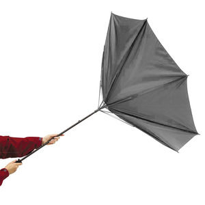 Cane umbrella "Tornado", gray