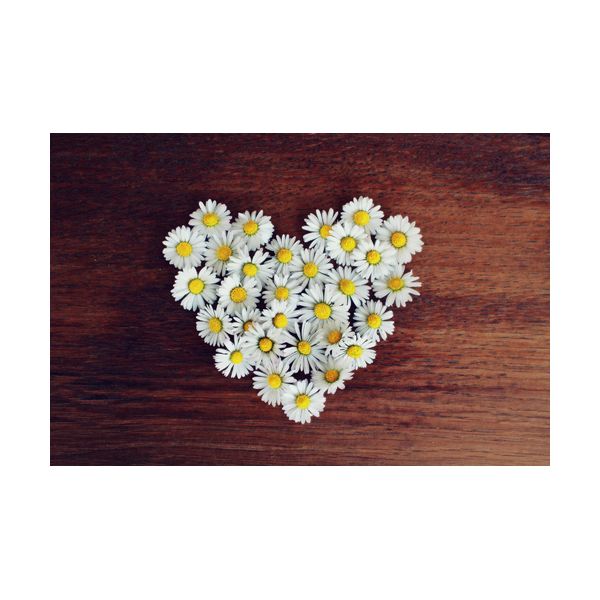 Gemälde 300x200 mm „Herz aus Gänseblümchen“