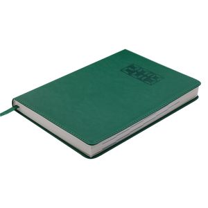 Ежедневник датированный 2019 PROFY, A5, 336 стр., зеленый 17758