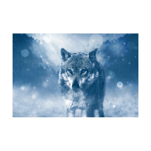 Gemälde 600x400 mm „Wolf“