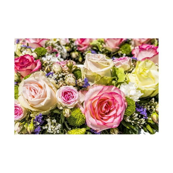 Obraz 600x400 mm "Róże"