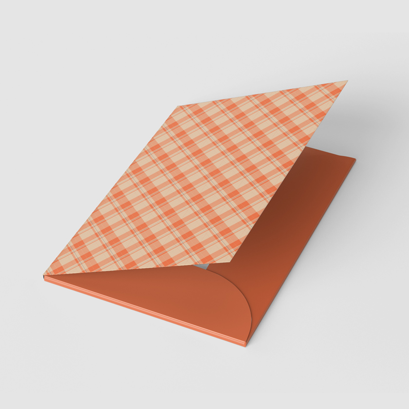 Cardboard folder 484x377 mm. Men's pattern (WL 03.21-22-9-14)
