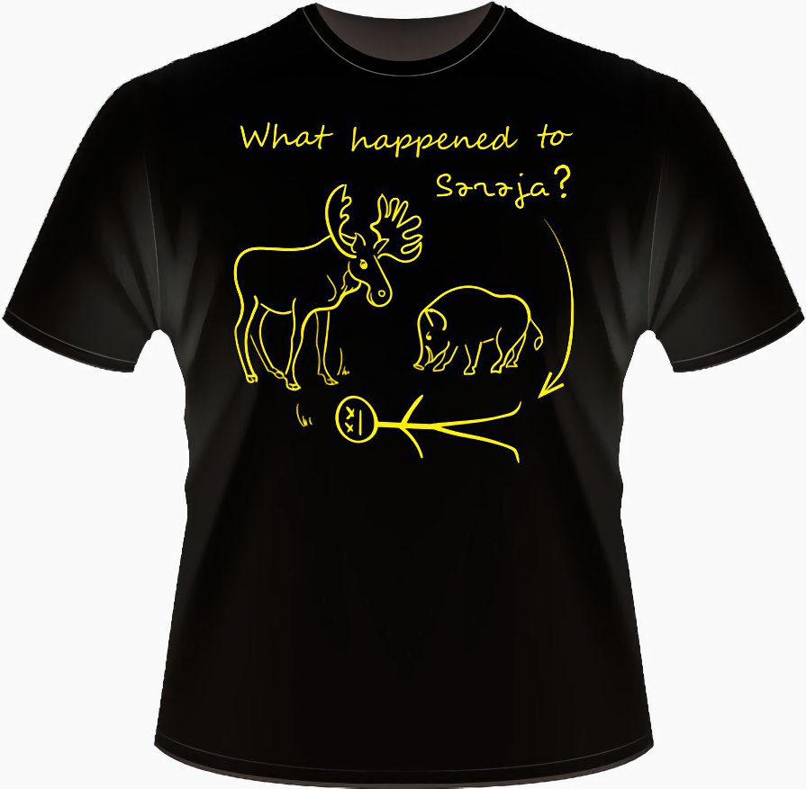 T-Shirt mit Aufdruck „Was ist mit Sereja passiert“