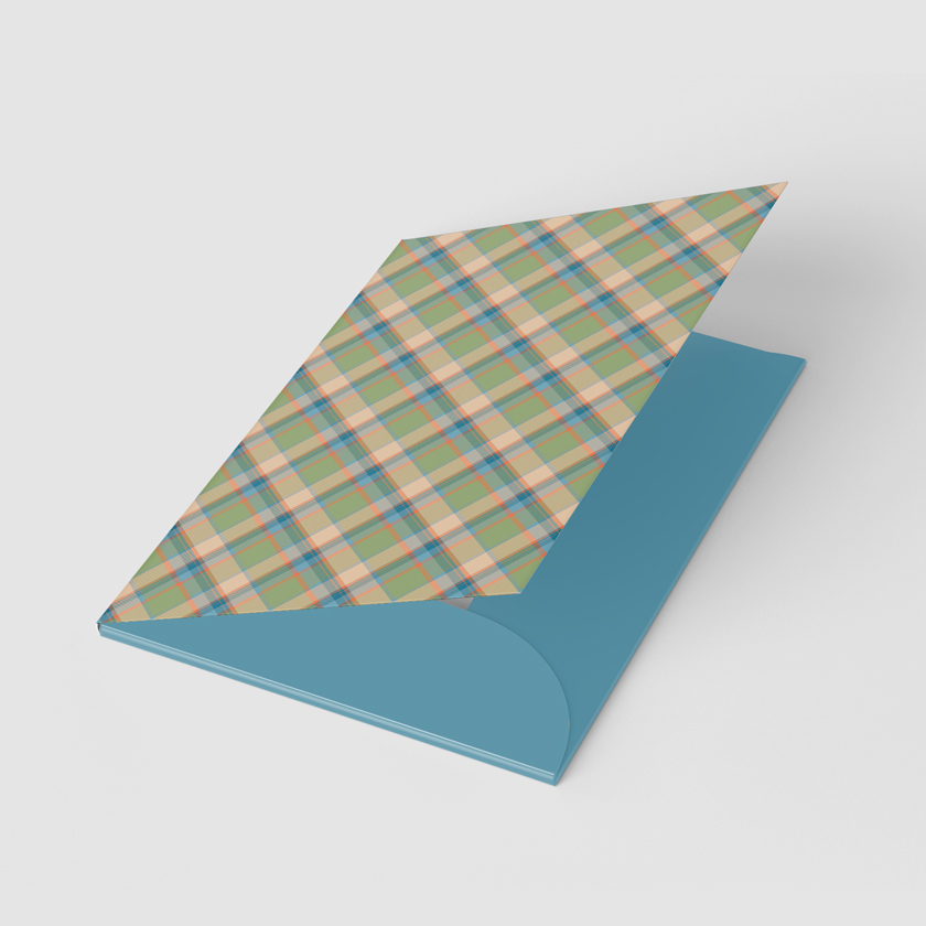 Cardboard folder 484x377 mm. Men's pattern (WL 03.21-22-9-2)