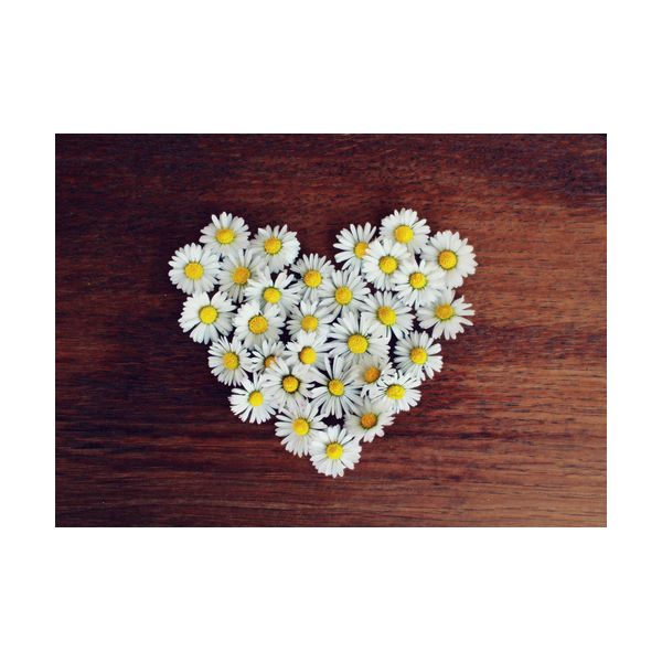 Gemälde 700x500 mm „Herz aus Gänseblümchen“