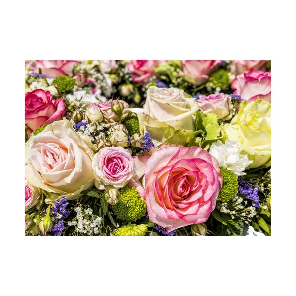 Obraz 700x500 mm "Róże"