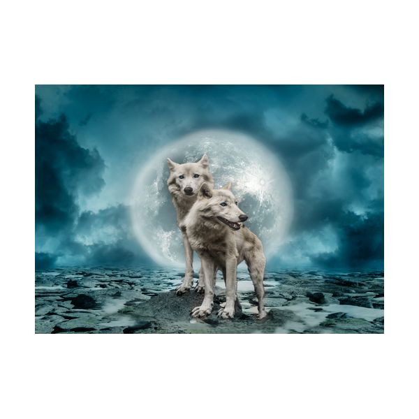 Gemälde 700x500 mm „Wölfe“