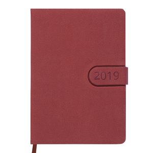 Ежедневник датированный 2019 SOLAR, A5, 336стр. коричневый