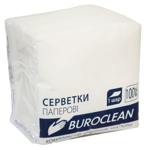 Paper napkins, 240*240 mm, 100 pcs, in pp packaging, white