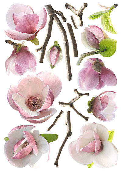 Stickers muraux. Magnolia (TP107)