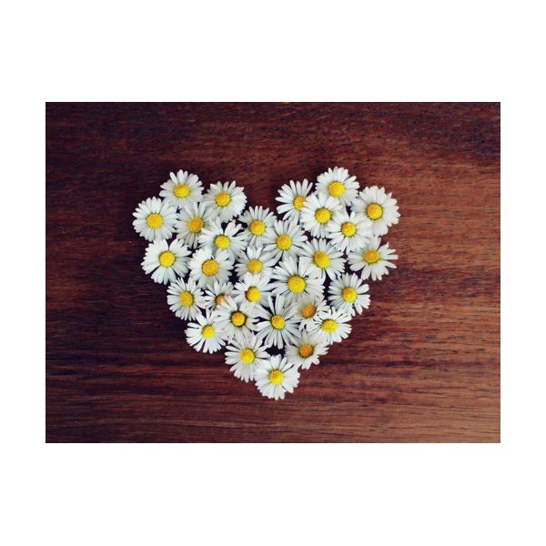 Gemälde 400x300 mm „Herz aus Gänseblümchen“