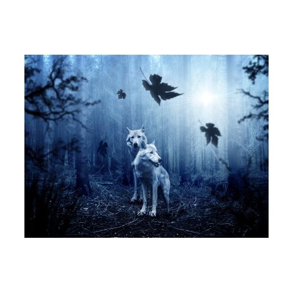 Gemälde 400x300 mm „Wölfe“