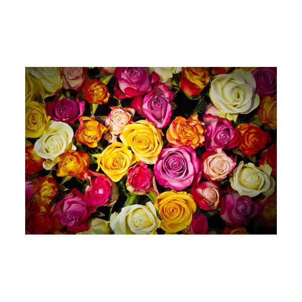 Cuadro 900x600 mm "Rosas"