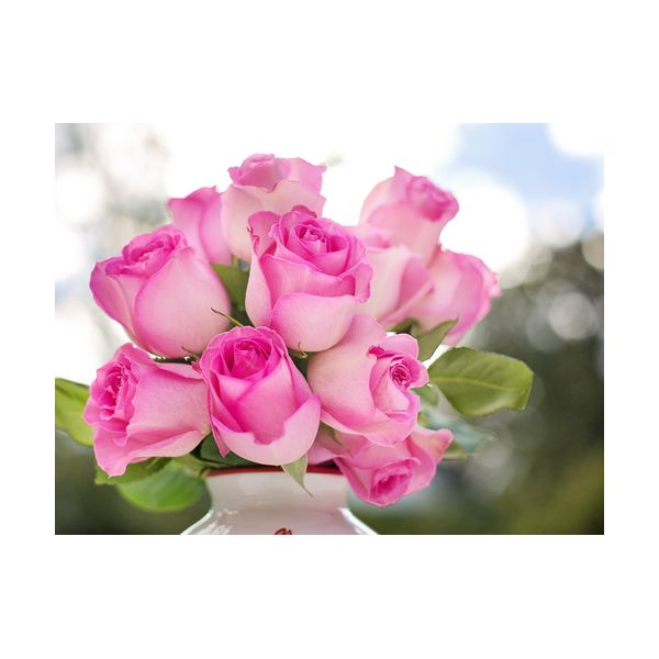 Cuadro 400x300 mm "Rosas rosadas"