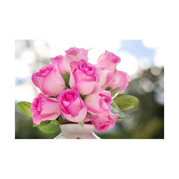 Obraz 300x200 mm "Różowe róże"
