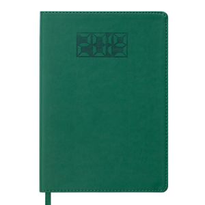 Ежедневник датированный 2019 PROFY, A5, 336 стр., зеленый