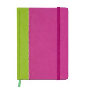 Ежедневник датированный 2019 SIENNA, A5, 336 стр., салатово-розовый