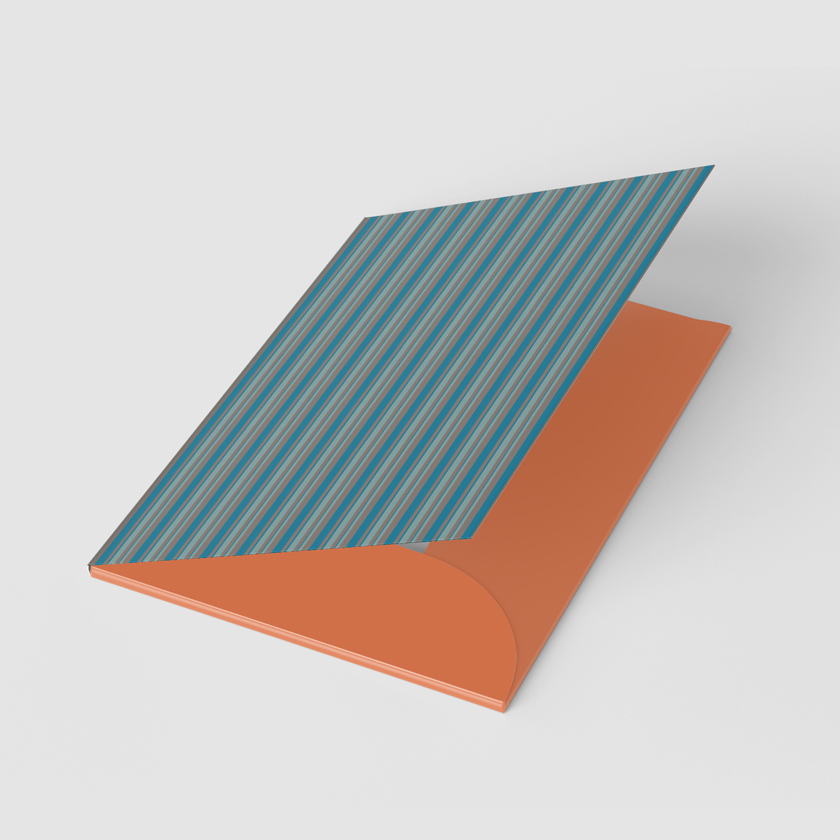 Cardboard folder 484x377 mm. Men's pattern (WL 03.21-22-9-13)