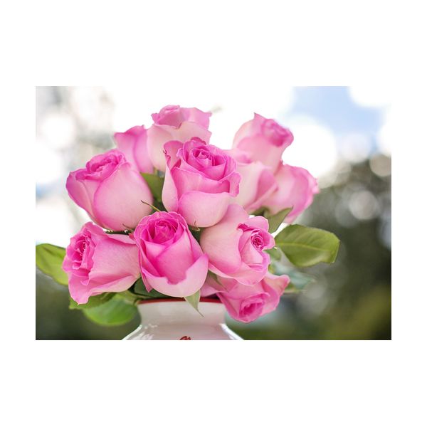Cuadro 700x500 mm "Rosas rosadas"
