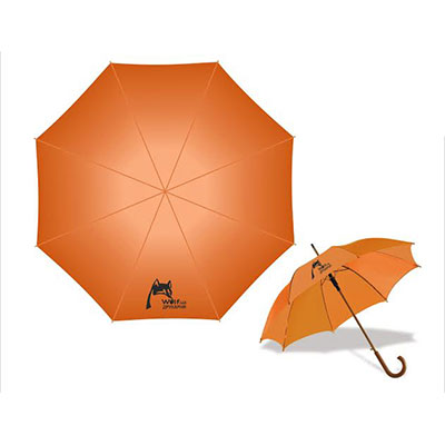 Umbrellas with logo