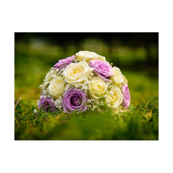 Tableau 400x300 mm "Bouquet de roses"
