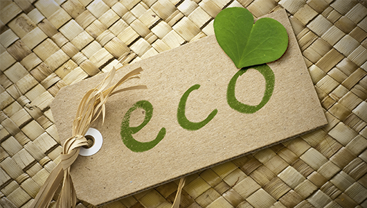Responsible Choice: How to Find an Eco-Friendly Printing House