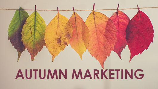 Marketing in the fall: increase activity