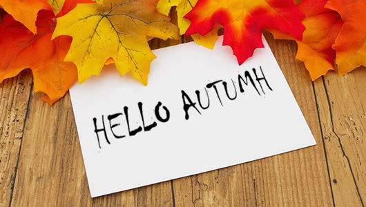 Updating the design of printed products: autumn ideas