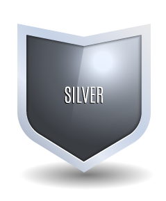 Icon-Silver